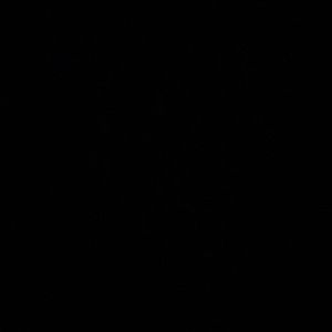 SELLING ALL NEW THINGS